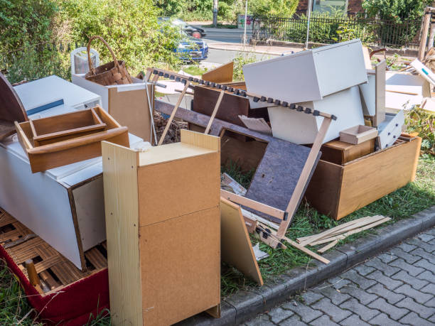 Best Residential Junk Removal  in The Meadows, FL